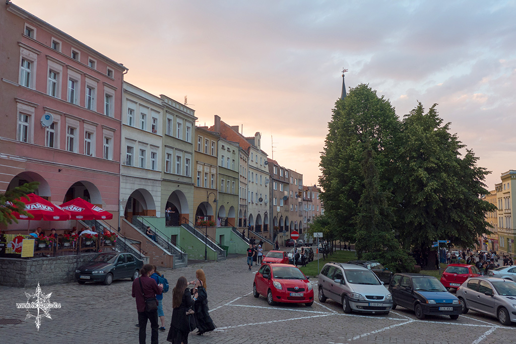 P1050507.jpg