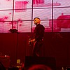 harmjoy03.jpg