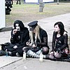 visitors54.JPG