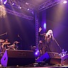 witt5.jpg